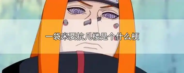 来源于《火影忍者》中的晓组织首领佩恩的一句台词,音译为一袋米要扛