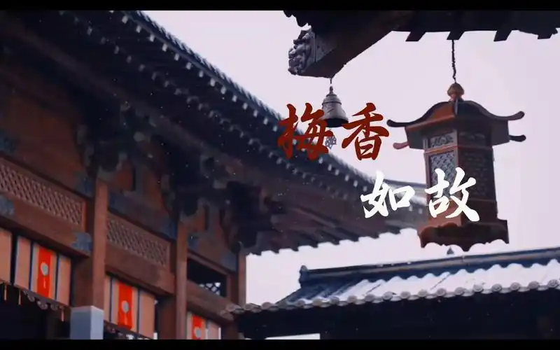 【梅香如故】毛不易 周深