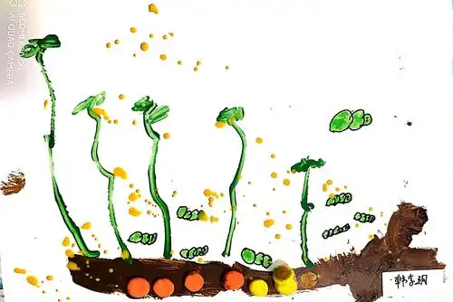 本次课程《种子发芽了》