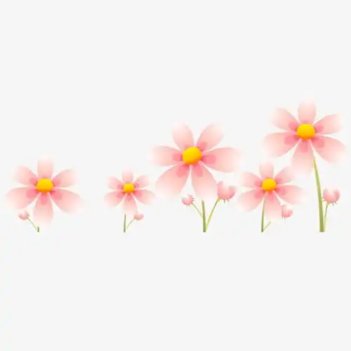 小红花的装饰图案