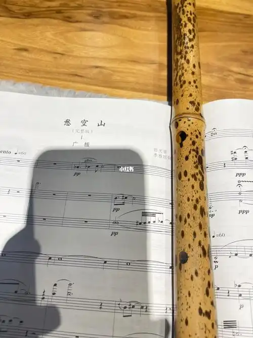 笛子协奏曲愁空山