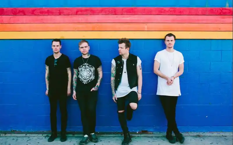 dvd版记录blitzkids制作专辑有为青年thegoodyouth