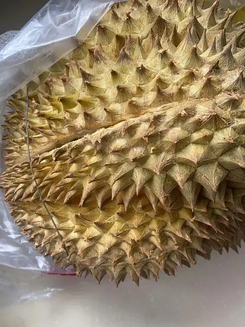 这个榴莲真的够了