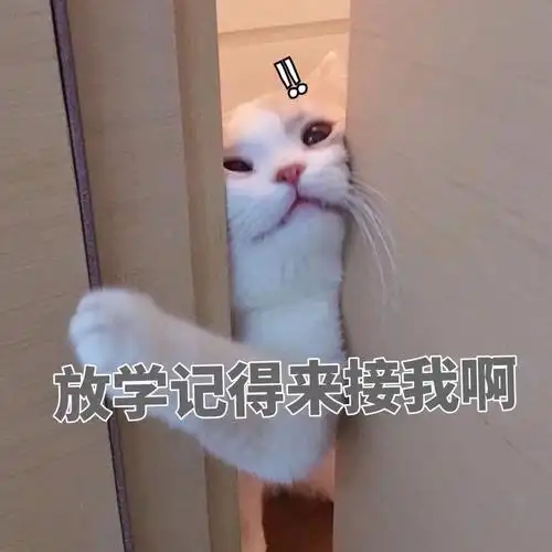 放学记得来接我啊(猫咪)_猫咪_放学_来接_记得表情