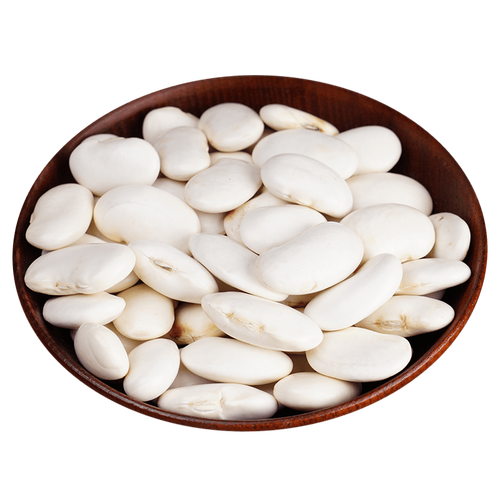 芸豆新鲜豆子大豆豆雪大白三坡新货500g白芸豆其它