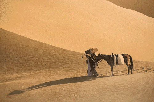 你所不知道的唐三藏:半生求经的大唐第一高僧玄奘悲催的晚年境遇