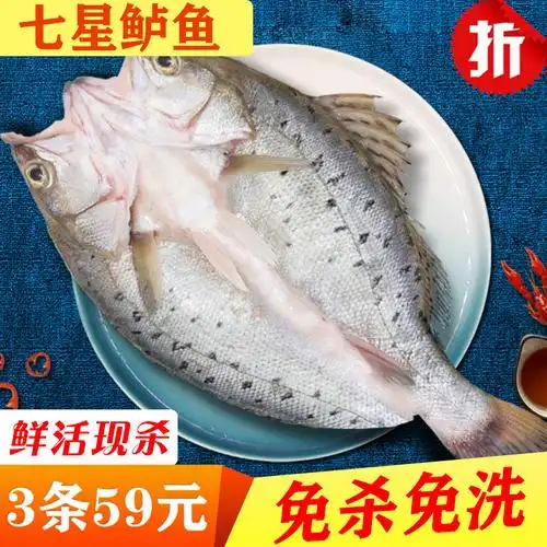 免杀七星新鲜活冻开背白蕉*石斑鱼