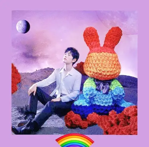 肖战永生花兔彩虹兔