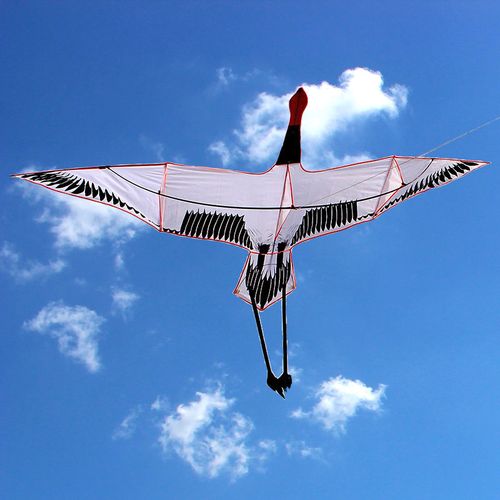 风筝好飞老鹰微风易飞天鹅天鹅海海燕鸟前撑杆风筝