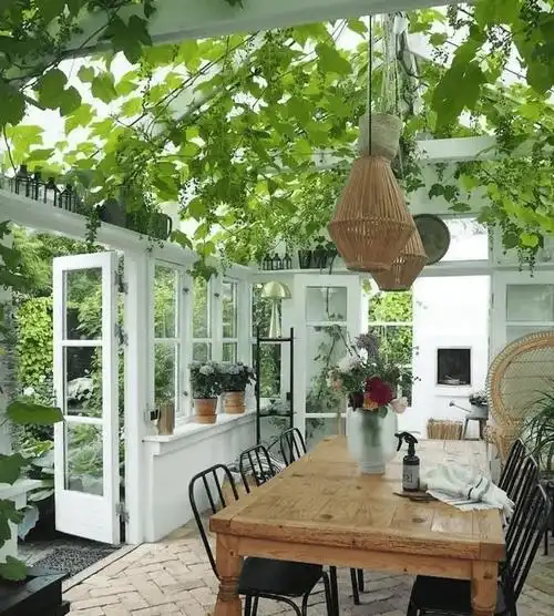 植物遮阳:在阳光房外部种植大树或攀爬植物,如爬山虎,常青藤等,不仅