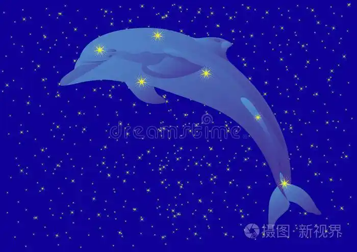 海豚星座