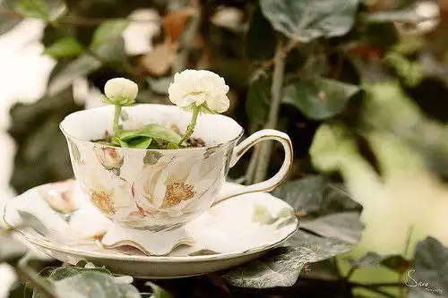 【美好的事物】小站° 杯子控 『第二站』 | 唯美意境网