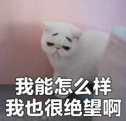 我能怎么样 我也很绝望啊 - 我没有不开心_丧气_喵咪表情