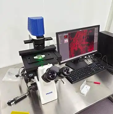 明美倒置荧光显微镜用于细胞培养观察