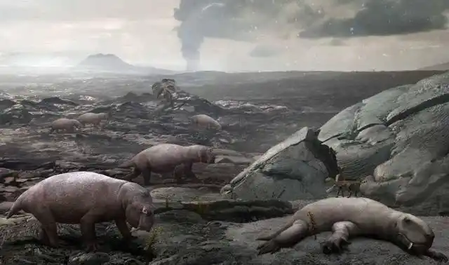 二叠纪物种大灭绝:海洋生物灭绝了96%,原因是远古"全球变暖"