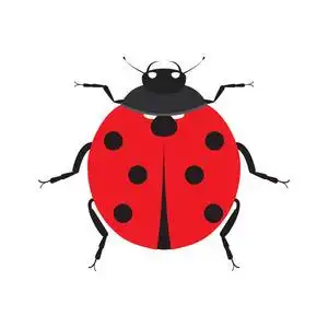 矢量图,在白色背景上隔离在绿草的甲虫瓢虫瓢虫或瓢虫矢量图解,孤立.