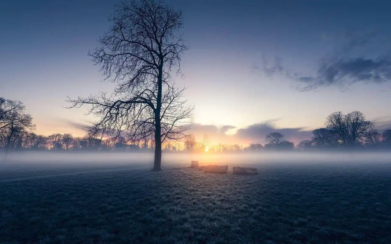 四季轮回:冬日的洁白与晶莹剔透_支持