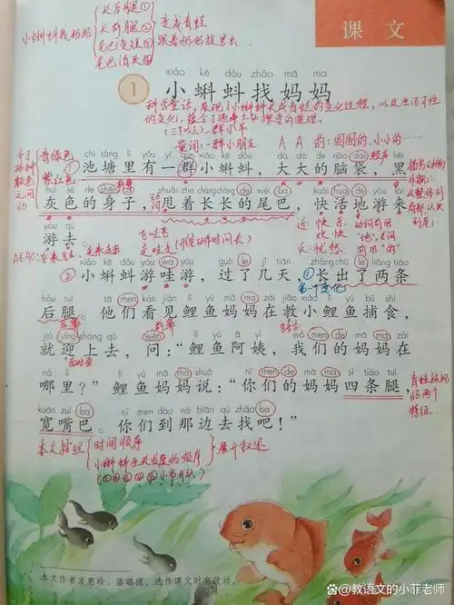 二年级上册第一课,小蝌蚪找妈妈.