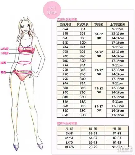 这个说法听起来很奇怪,因为都是 ccup,也就是上下胸围差距 15cm,怎麼