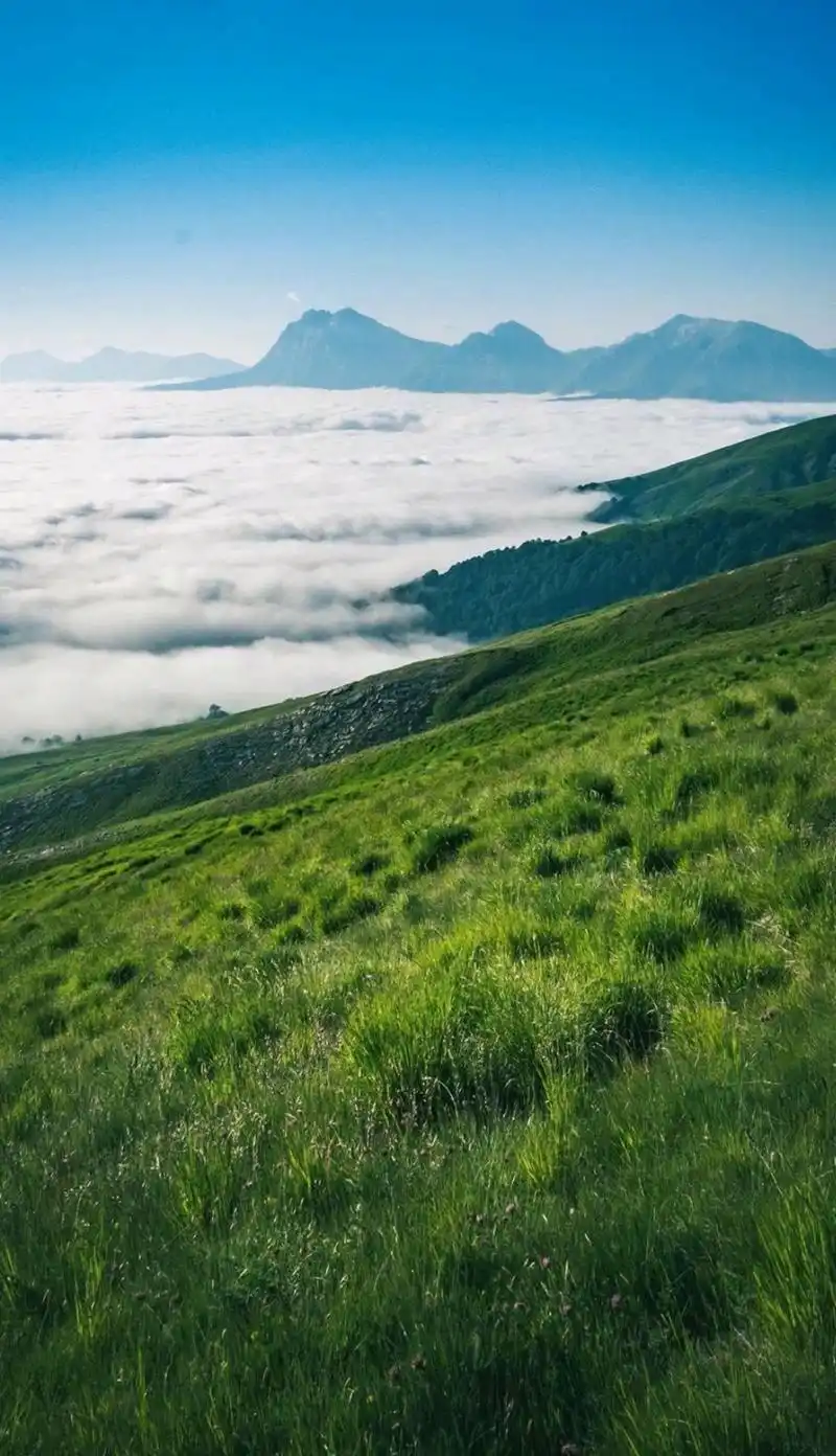 背景图,手机壁纸