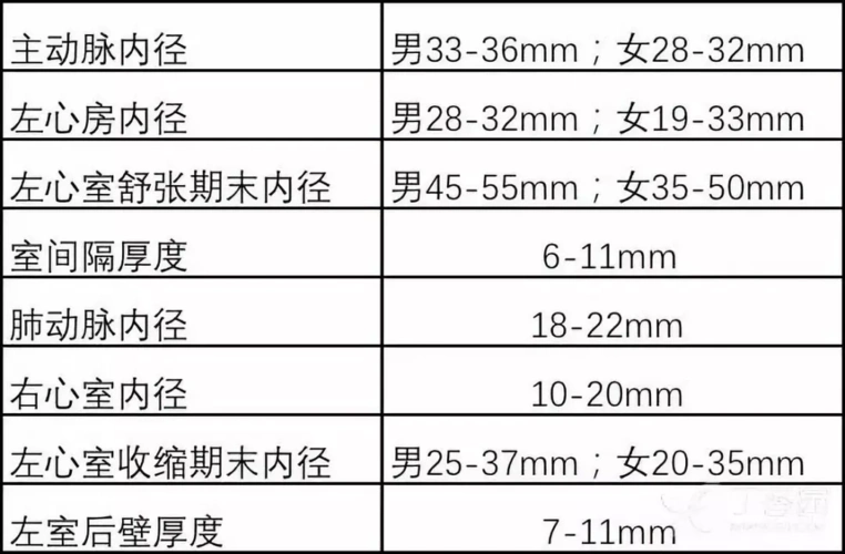 表 1-2 成人二维超声心动图正常值参考