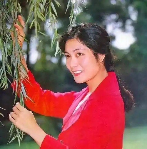 28位八十年代女星今昔对比照!当年美得不可方物,现今如何呢?