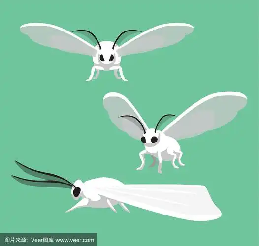 可爱的,绘画插图,卡通,蛾,矢量