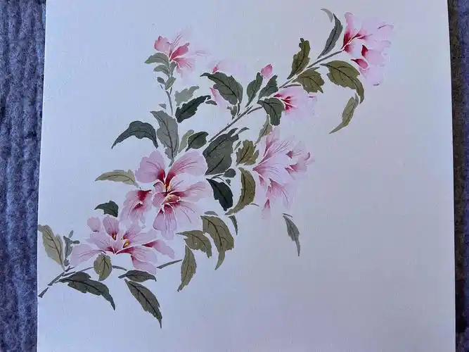 小写意国画木槿花