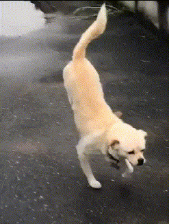 微信80动态壁纸大全