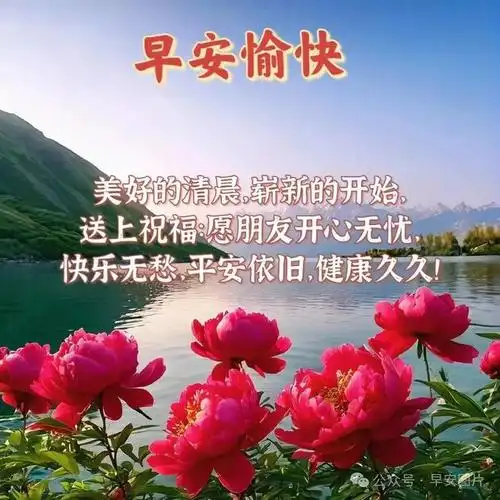2024最新版漂亮的早安问候语图片大全清晨早安祝福语温馨问候
