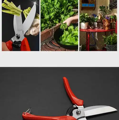 大蒜剪刀蒜头蒜胡蒜杆剪刀蒜剪子蒜神器剪大蒜剪蒜农工具大蒜剪1把