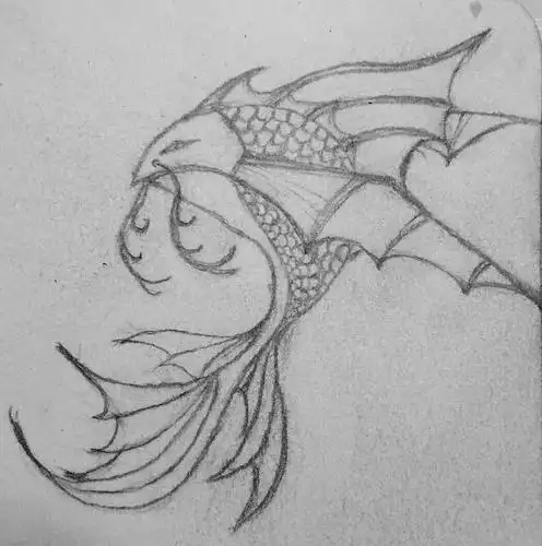 鲲鹏腹中能容纳世界.