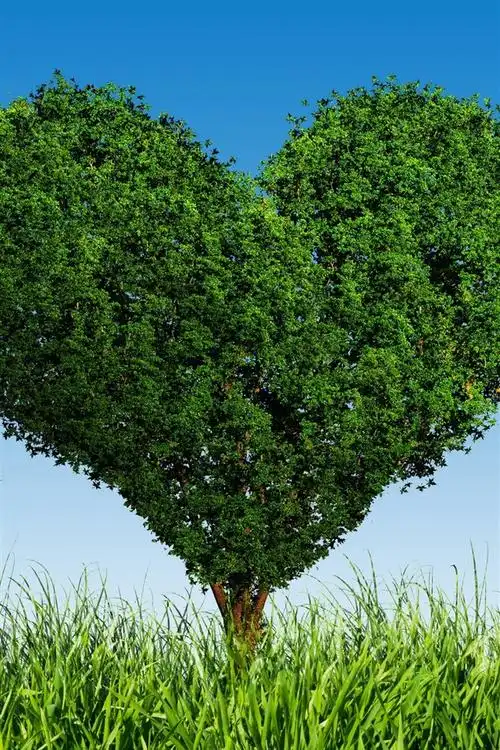 绿色爱心树,草 iphone 壁纸