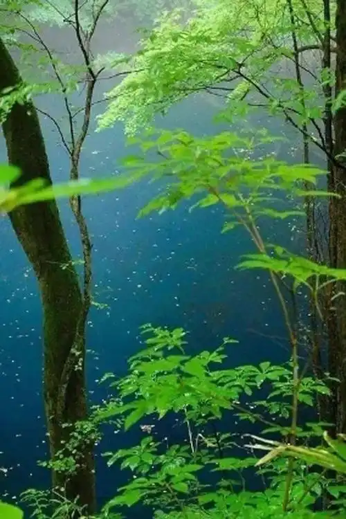 心态淡然平静的生活