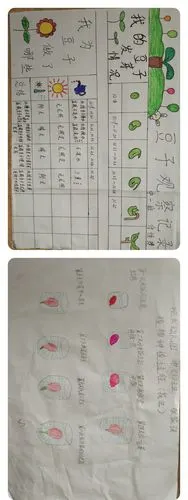 在本次活动中,小朋友们一起观察到了豆浆的制作过程,一起品尝了好