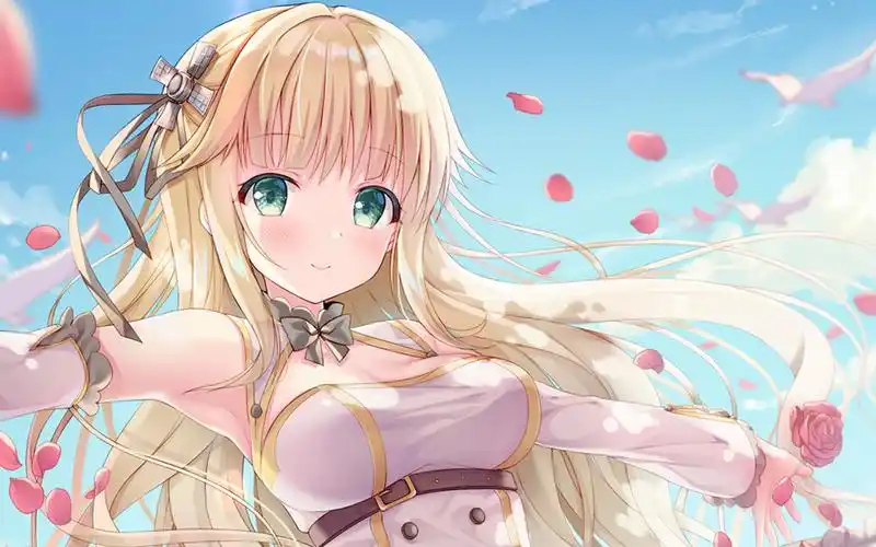 全网最低网课自助下单