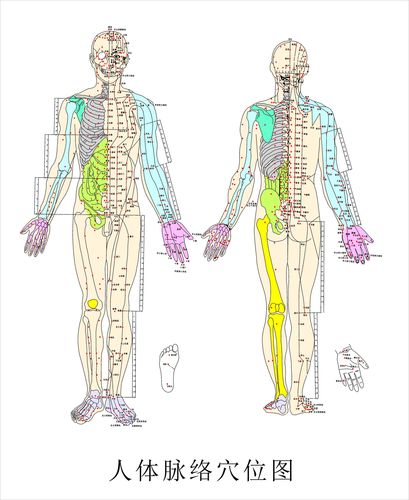 569海报印制海报展板素材65人体穴位脉络图