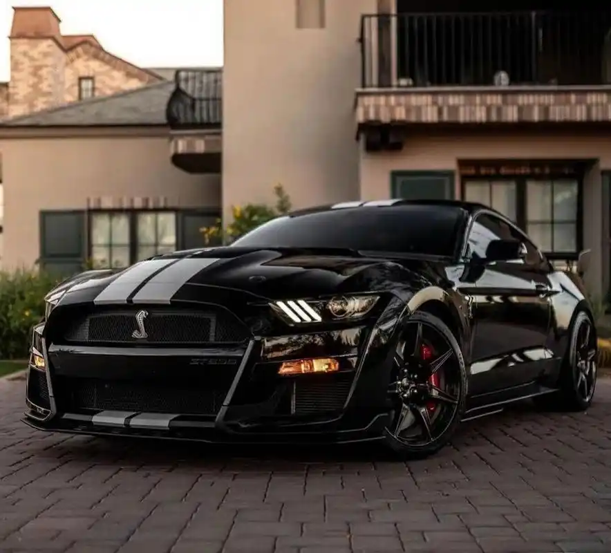 福特谢尔比gt500,城市中的眼镜蛇