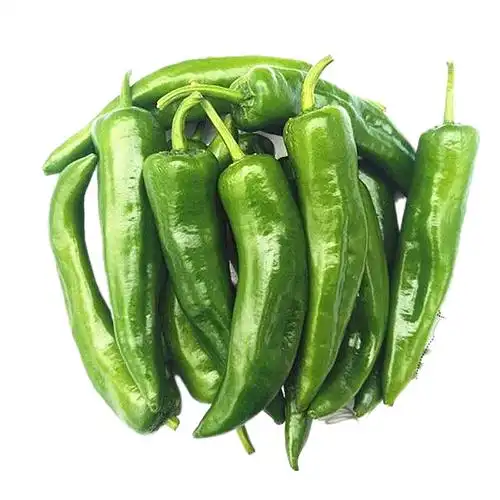 东北辣妹子小辣椒新鲜5斤包邮农家蘸酱蔬菜小青椒辣椒
