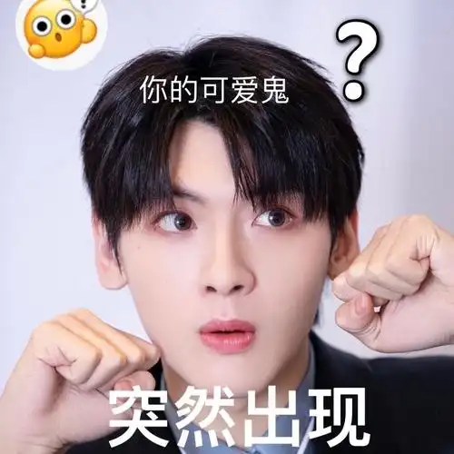 哈哈哈哈翟潇闻人间小可爱表情包太实用了