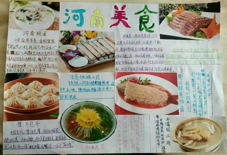 赵子涵 《河南美食》小报