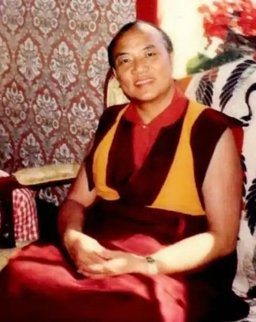 上师相应法第十六世大宝法王朗琼利佩多杰
