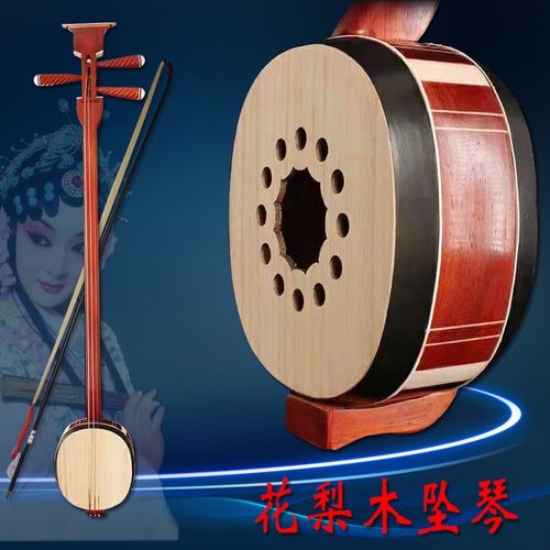 三弦花梨坠琴河南专业坠子子书坠胡乐器弦乐器坠琴