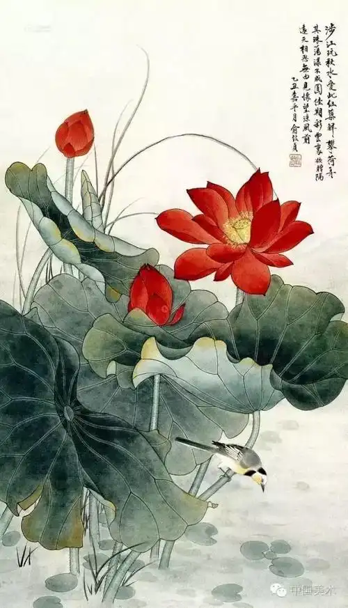 工笔画荷花值得欣赏感谢分享转发