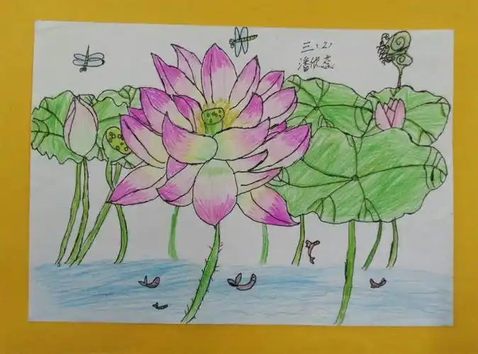 《荷花美》——海口中学小学部三(2)班美术课