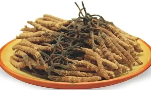 嘉康利茶草参胶囊——补足你的精,气,神