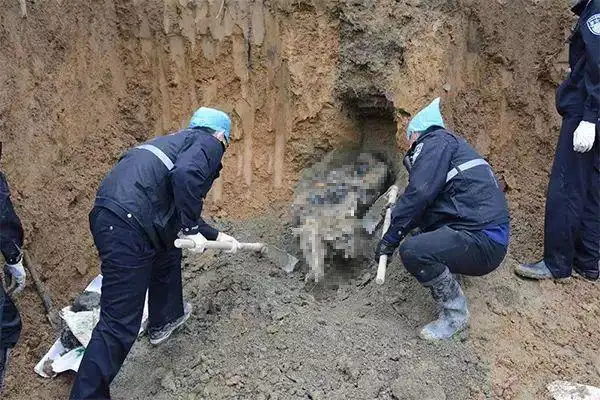 尸检证实,男尸就是失踪的海东失踪两年,他用一种惨绝人寰的方式,重见