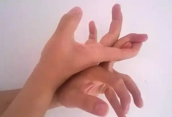 道家修行手印图解