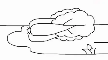 娃娃菜卡通简笔画