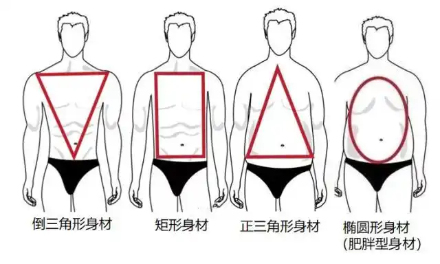 这是因为尽管倒三角体型的男生的肩部宽于臀部,腹肌发带,腰腹窄,但是